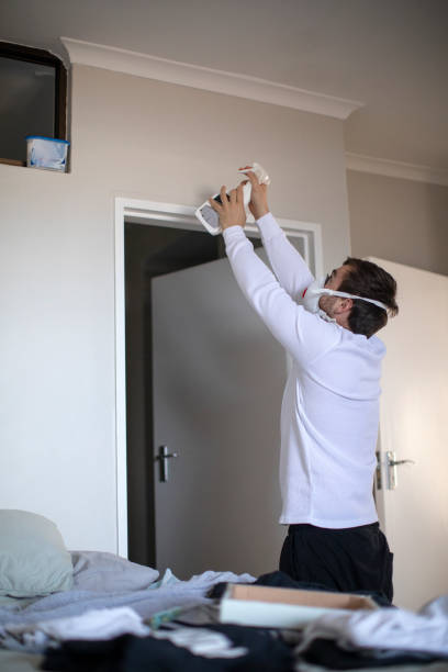 Best Environmental Consulting for Mold Prevention  in Auburn, MI
