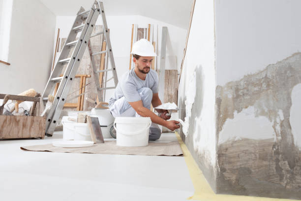 Reliable Auburn, MI Mold Removal Solutions