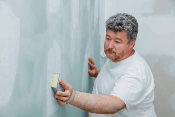Best Mold Remediation for Healthcare Facilities  in Auburn, MI