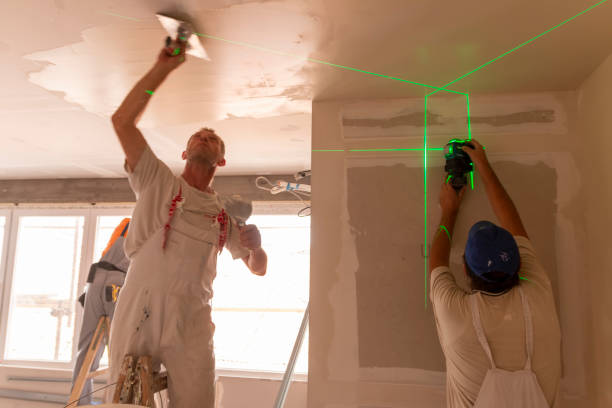 Forensic Mold Investigation in Auburn, MI