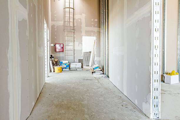 Best Forensic Mold Investigation  in Auburn, MI