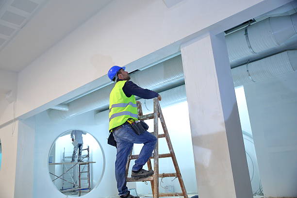 Best Post-Construction Mold Inspection  in Auburn, MI